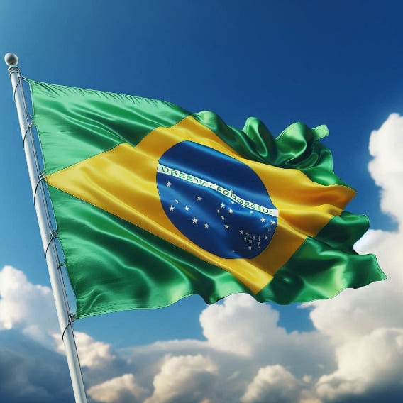 FEMSA - 