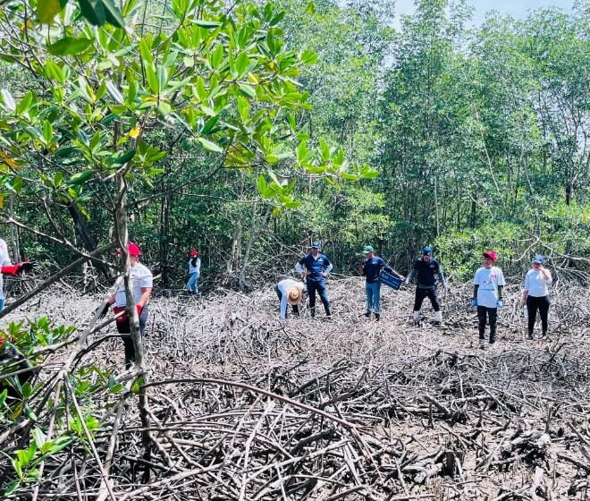 Imagen de personas reforestando