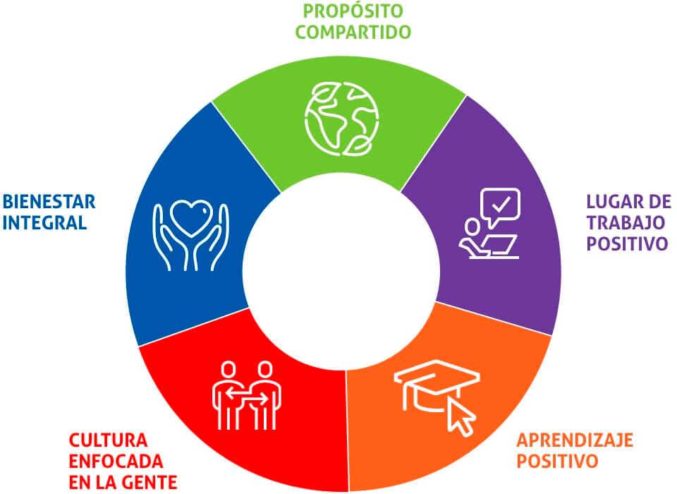 infografía de propuesta de valor para empleados