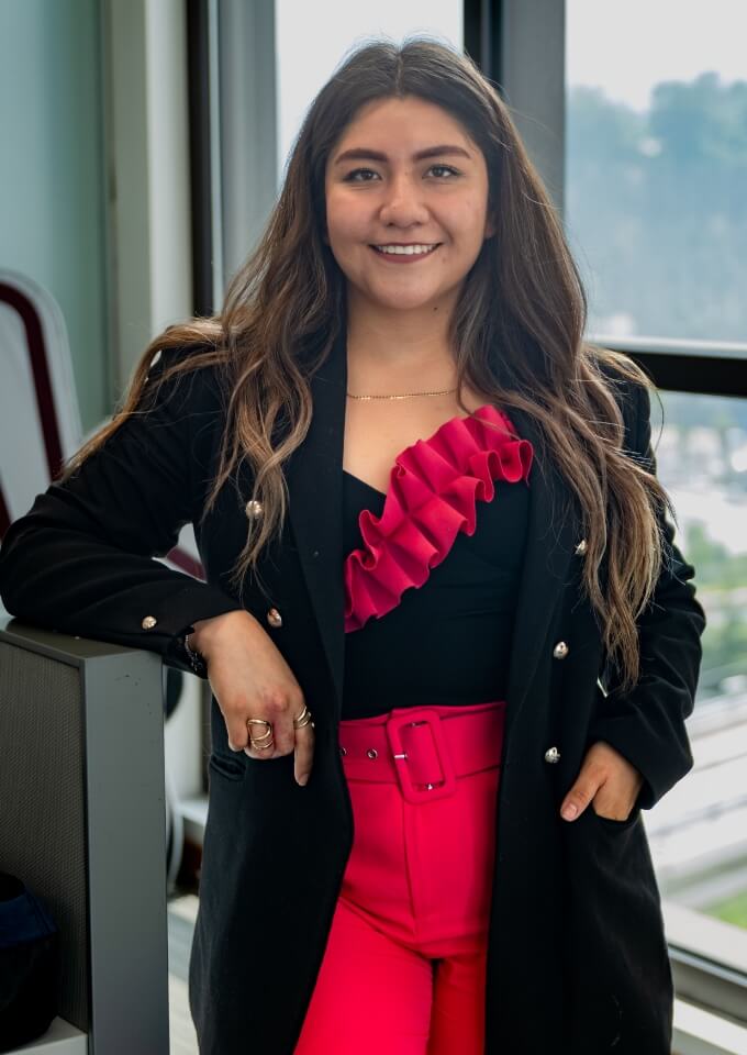 profesionista