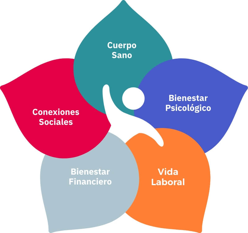 modelo integral de bienestar