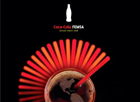reporte-anual-2008-EN.jpg