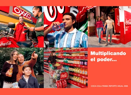reporte-anual-2005.jpg
